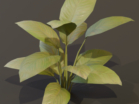 The BroadLeaf Lily Bush 3D Model