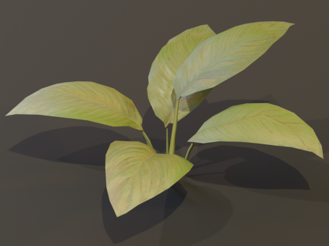 The BroadLeaf Lily Bush 3D Model