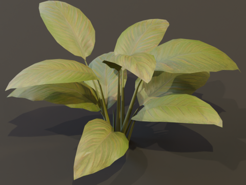 The BroadLeaf Lily Bush 3D Model