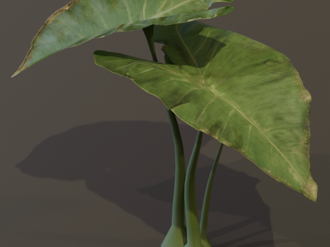 The BroadLeaf Taro Bush 3D Model