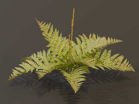 The Cinnamon Fern Bush 3D Model