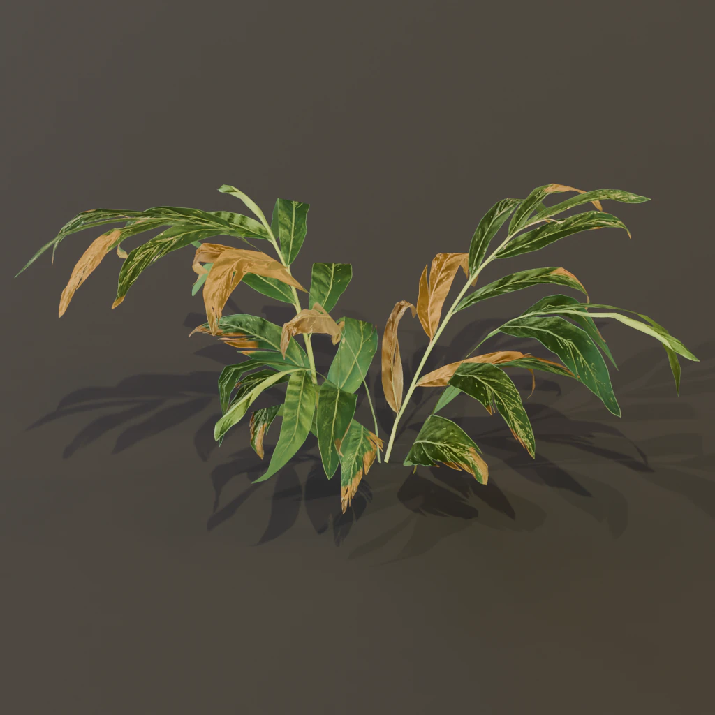 A realistic 3D fern 3D Model .c4d .max .obj .3ds .fbx .stl .blend 