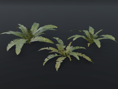 A realistic 3D fern Modelo 3D