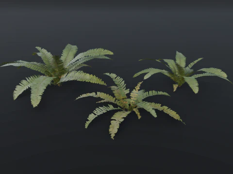 A realistic 3D fern 3D Model