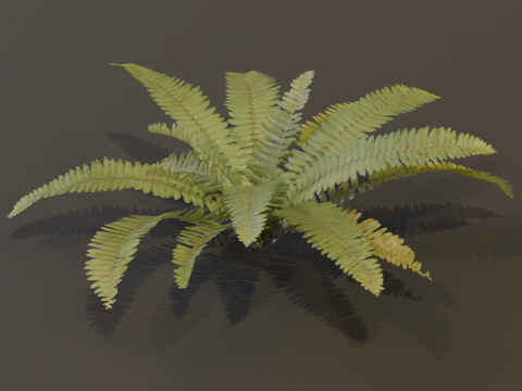A realistic 3D fern Modelo 3D