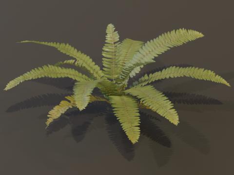 A realistic 3D fern Modelo 3D