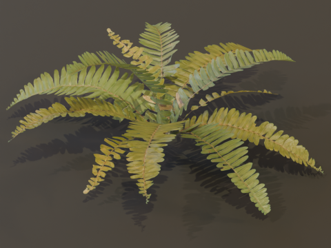 A realistic 3D fern Modelo 3D