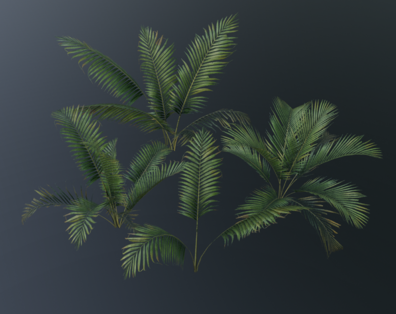 A compact and realistic small palm bush 3D Модель .c4d .max .obj .3ds .fbx .stl .blend 