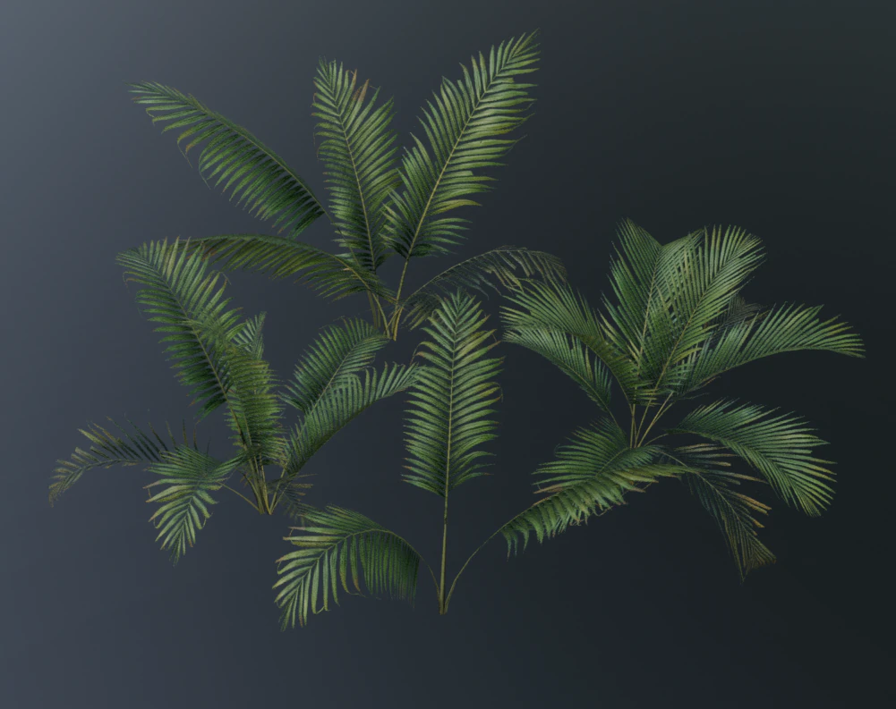 A compact and realistic small palm bush 3D Model .c4d .max .obj .3ds .fbx .stl .blend 