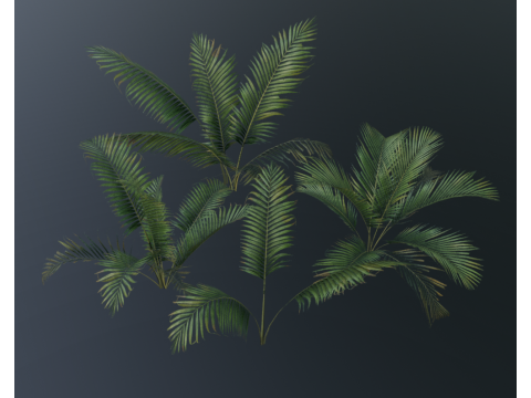 A compact and realistic small palm bush 3D Модель