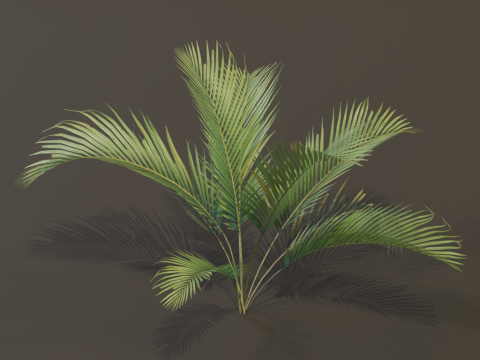 A compact and realistic small palm bush 3D Модель