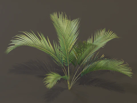 A compact and realistic small palm bush 3D Model