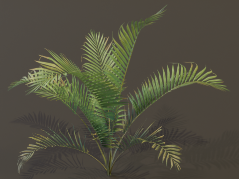 A compact and realistic small palm bush 3D Модель