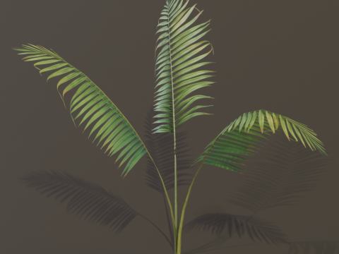 A compact and realistic small palm bush 3D Модель