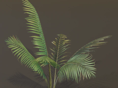 A compact and realistic small palm bush 3D Model