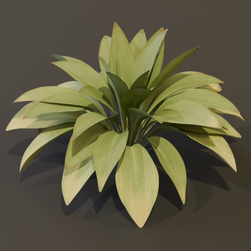 The Haran Bush 3D Модель .c4d .max .obj .3ds .fbx .stl .blend 
