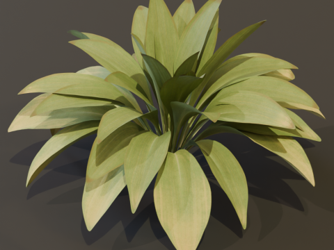 The Haran Bush 3D Model