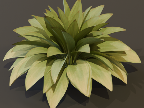 The Haran Bush 3D Модель