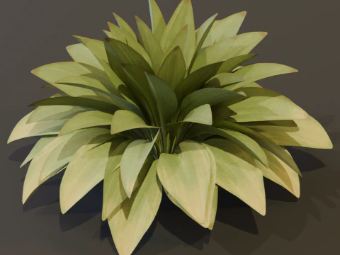 The Haran Bush 3D Model