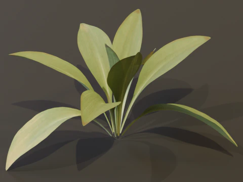 The Haran Bush 3D Model