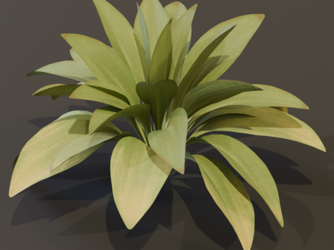 The Haran Bush 3D Модель