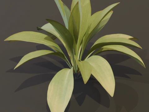 The Haran Bush 3D Model