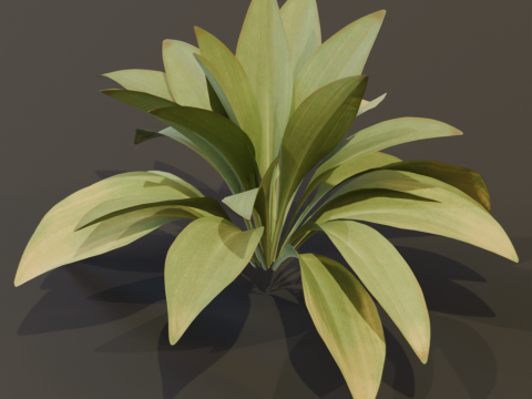 The Haran Bush 3D Модель