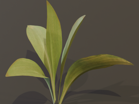 The Haran Bush 3D Модель