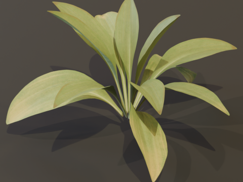The Haran Bush 3D Модель