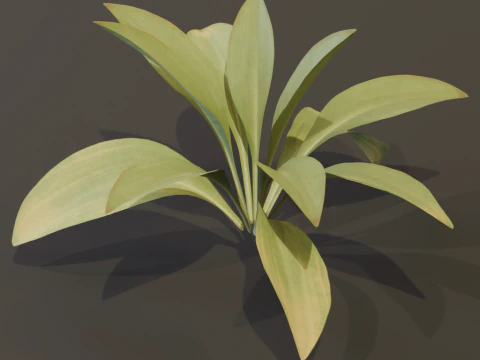 The Haran Bush 3D Model