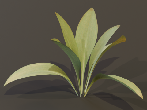 The Haran Bush 3D Модель