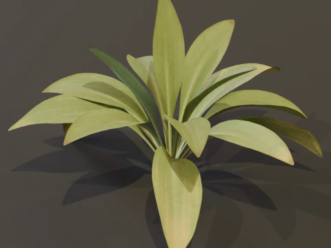 The Haran Bush 3D Model