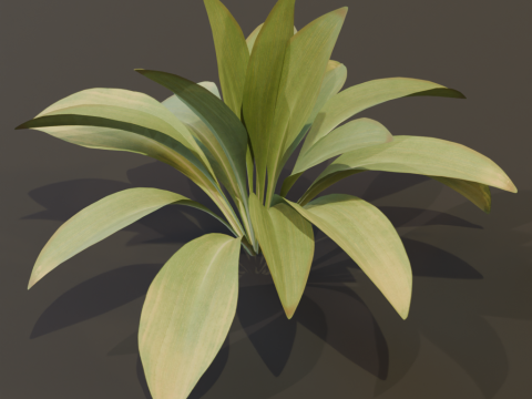 The Haran Bush 3D Модель