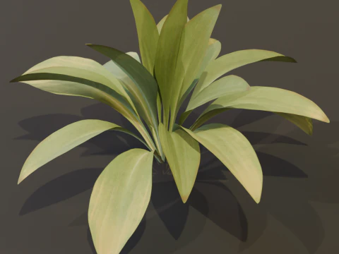 The Haran Bush 3D Model