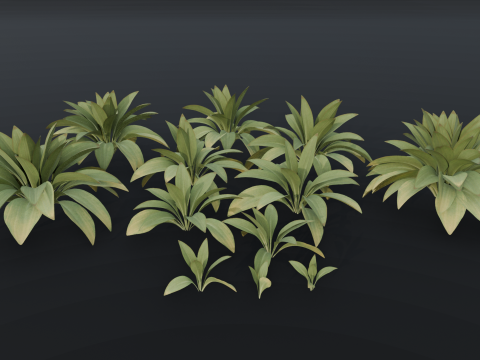 The Haran Bush 3D Модель