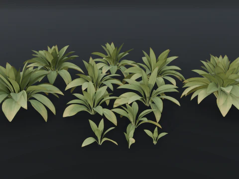 The Haran Bush 3D Model