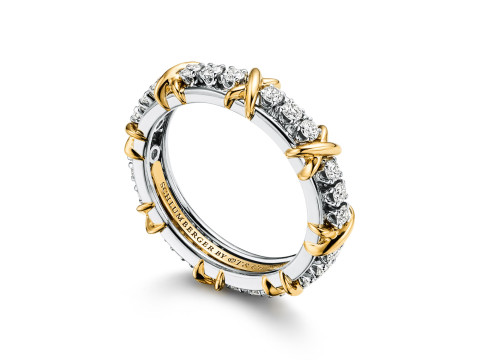 Tiffany Diamond Band Ring with Gold Detailing Luxury Jewelry 3D मॉडल