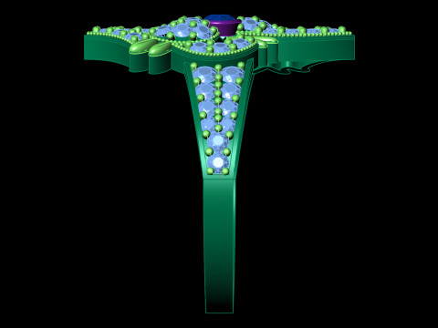 Wide Pave Butterfly Ring Ornate Bow Tie CAD for Printing 3D Print Model