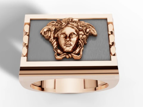 Medusa Signet Ring with Braided Shoulders 3D Print Model