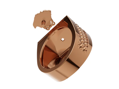 Medusa Signet Ring with Braided Shoulders 3D Print Model