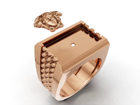 Medusa Signet Ring with Braided Shoulders 3D Print Model