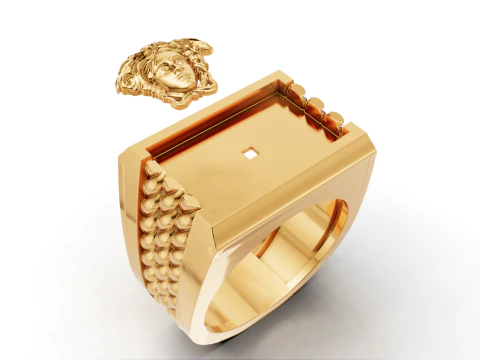 Medusa Signet Ring with Braided Shoulders 3D Print Model