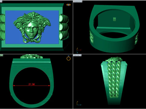 Medusa Signet Ring with Braided Shoulders 3D Print Model