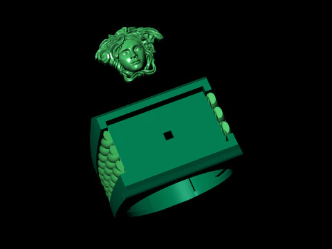 Medusa Signet Ring with Braided Shoulders 3D Print Model