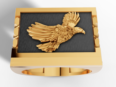 Majestueuse chevali&egrave;re aigle aux &eacute;paules tress&eacute;es Modèles 3D en vedette