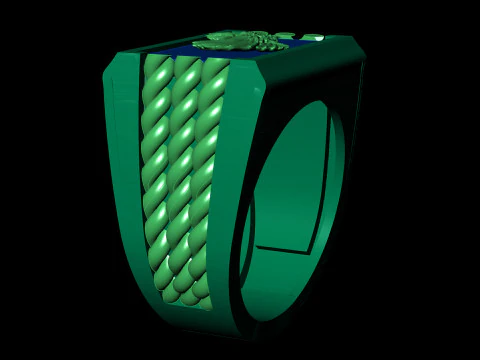 Majestic Eagle Signet Ring with Braided Shoulders 3D Print Model