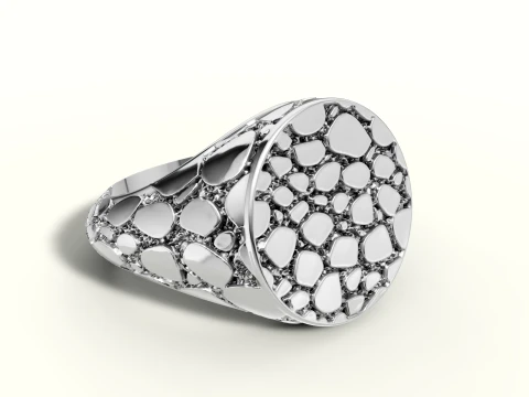 Signet Round Nugget Ring US 7 Size 3D Print Model