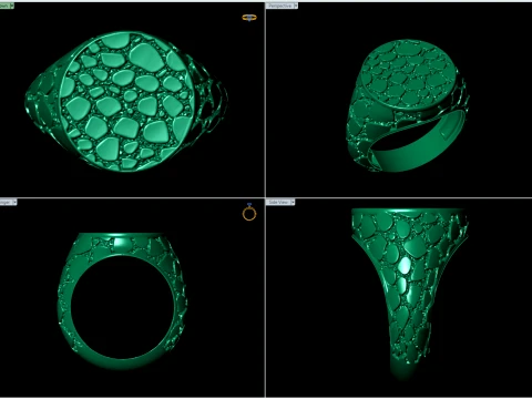 Signet Round Nugget Ring US 7 Size 3D Print Model