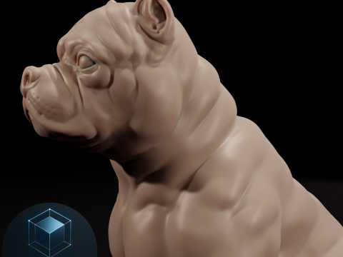 Bull Dog 3D Model