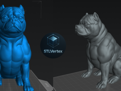 Bull Dog 3D Model